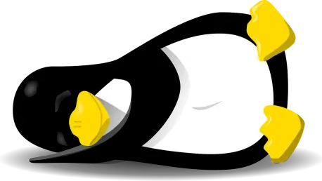 Mise en Garde : Problèmes de Sécurité avec la Distribution Wubuntu