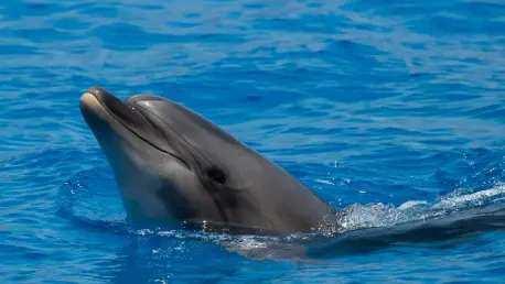 Évolution Irréversible: Les Mammifères Marins Retournent à l’Eau